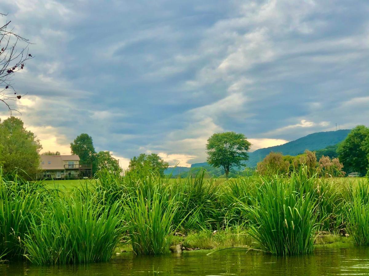 Little River Guest House At Tennessee Riverplace Τσαττανούγκα Εξωτερικό φωτογραφία