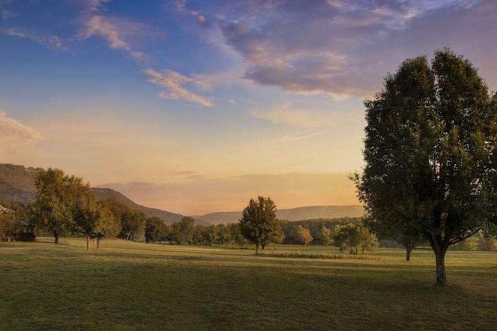 Little River Guest House At Tennessee Riverplace Τσαττανούγκα Εξωτερικό φωτογραφία