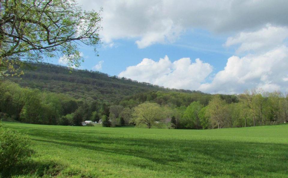 Little River Guest House At Tennessee Riverplace Τσαττανούγκα Εξωτερικό φωτογραφία
