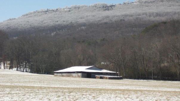 Little River Guest House At Tennessee Riverplace Τσαττανούγκα Εξωτερικό φωτογραφία